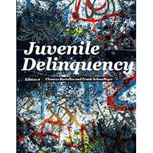 juvenile justice in america 7th edition ebook